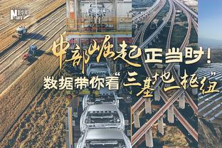 德泽尔比：布莱顿有10名伤员&还不习惯欧战，未来我会回到意大利